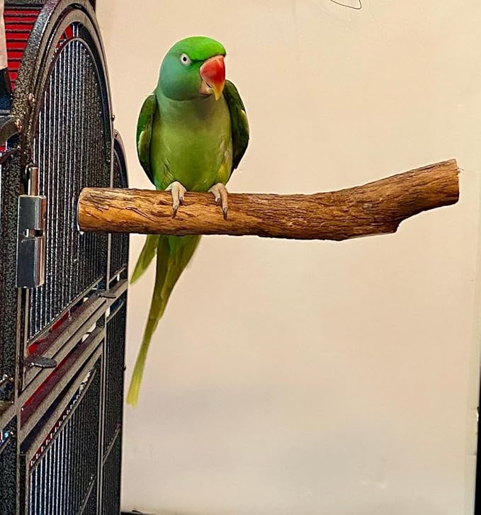 Polly's Hardwood Bird Perch, X-Large