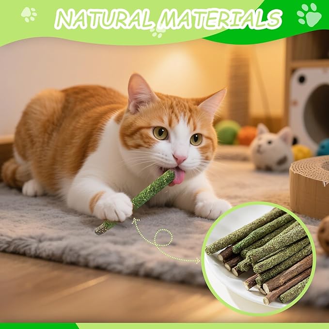 Cat Chew Toys, 11 Pack Kitten Catnip Toys Silvervine Sticks for Indoor Cats Teeth Cleaning, Interactive Treat Stretch Dental Chew Rope with Bell Feather