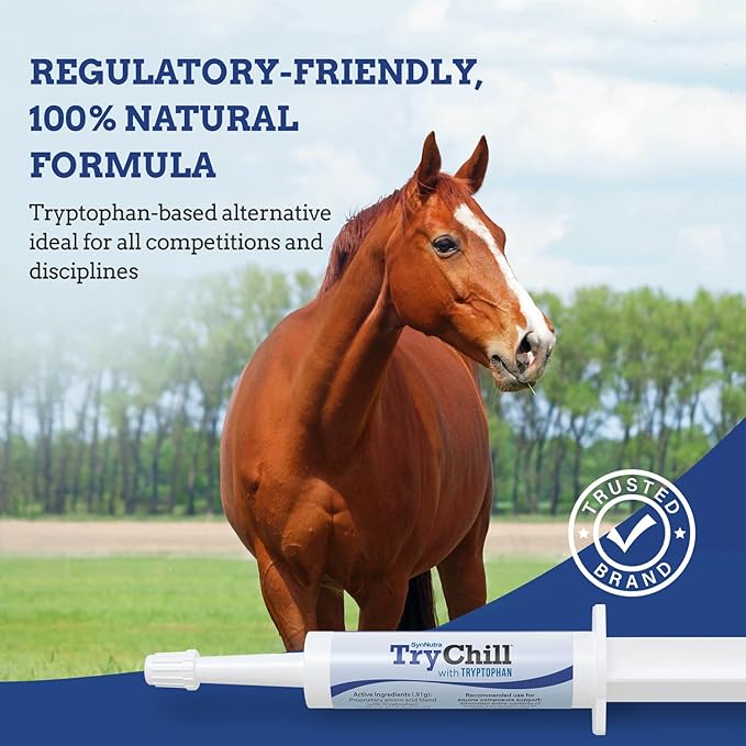 TryChill™ 12 Pack – L-Tryptophan-Based Support for Horses – Promotes a Composed Demeanor Without Sedation – Enhances Focus, Confidence & Performance – 100% Natural & Competition Safe