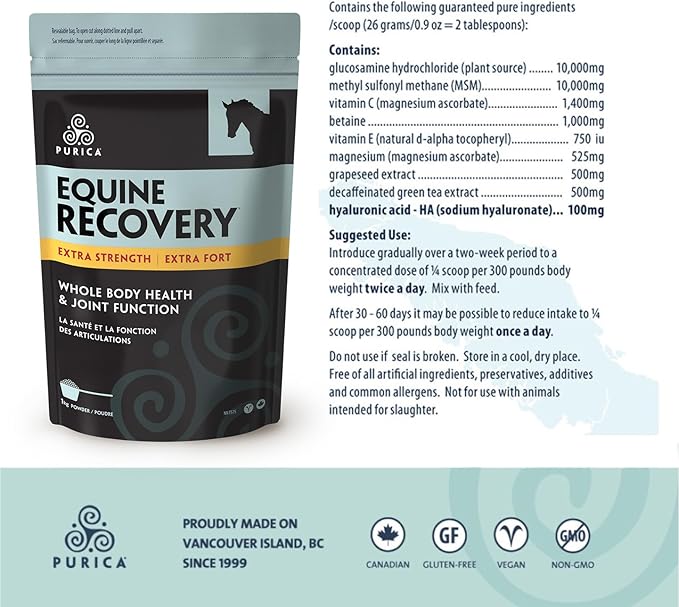 PURICA Equine Hyaluronic Acid - Horse Joint Support Supplement with Glucosamine, MSM Powder, Betaine, Magnesium, Vitamin C and E - Green Tea and Grape Seed Extract - Horse Supplies and Treats
