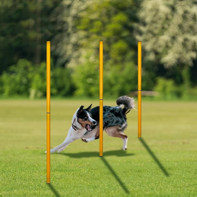 TNZMART 2.6 FT Dog Agility Obstacle Course Backyard Set with Wave Poles, Adjustable Hurdles and Jump Ring, Training Exercise Equipment for Dogs (Pack of 3 Yellow)