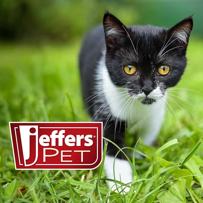 Jeffers Pet Ear Cleaning Solution for Dogs, Cats, Puppies, Rabbits, Ferrets – Aloe Vera Ear Wash for Wax and Odor – Pet Grooming Liquid for Ears, Travel, Cleaning, Hygiene, Home Care Kit - 8 oz