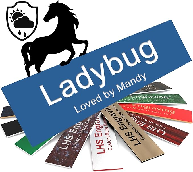 Personalized Horse Stall Name Plates, 2x6 Horse Stall Signs with Adhesive, All Weather UV Protected, Blue Plastic with White Letters - Made in USA - B9