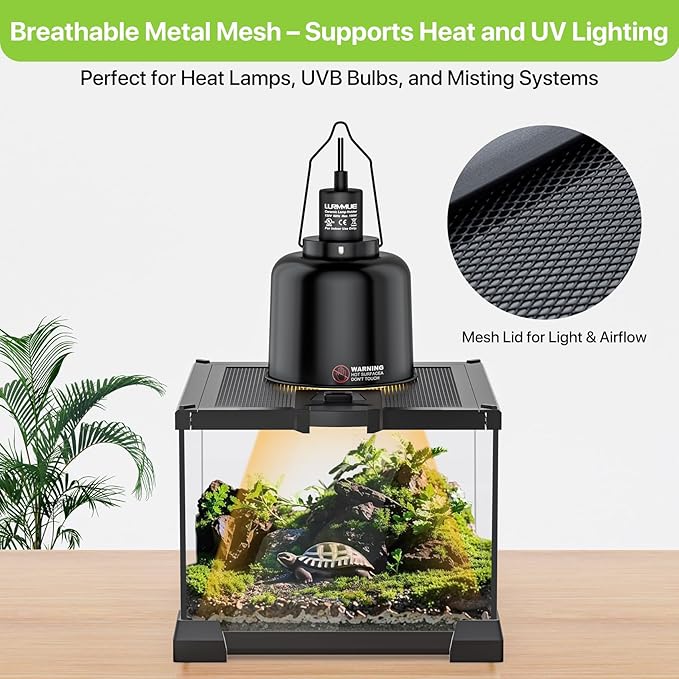 Mini Glass Terrarium Tank 8"x8"x6" with Top-Opening Mesh Lid, 360° Clear View, Ventilated Enclosure for Tarantulas, Jumping Spiders, Isopods, Froglets, & Small Reptiles