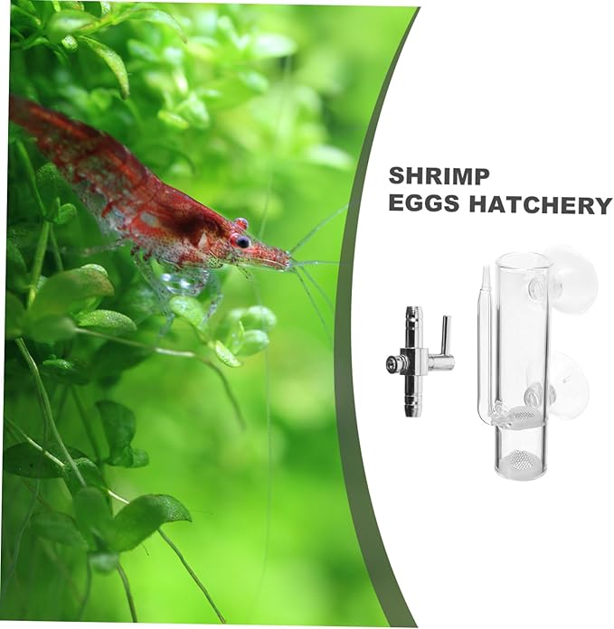 VOSAREA 1set Glass Shrimp Hatchery Box Suction Incubator for Brine Shrimp Eggs Fish Breeder Container with Isolation Design Easy to Clean for Aquatic Farming