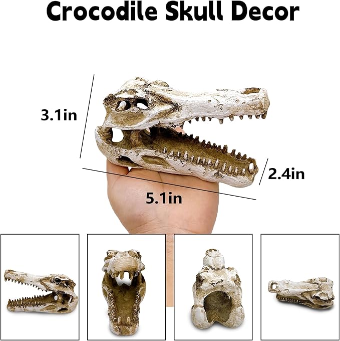 Tfwadmx Human Skull and Crocodile Skull Decor, Snake Hide, Tarantula Enclosure Accessories, Resin Skull with Vines Reptile Terrarium Tank Decor for Geckos, Lizards, Spiders