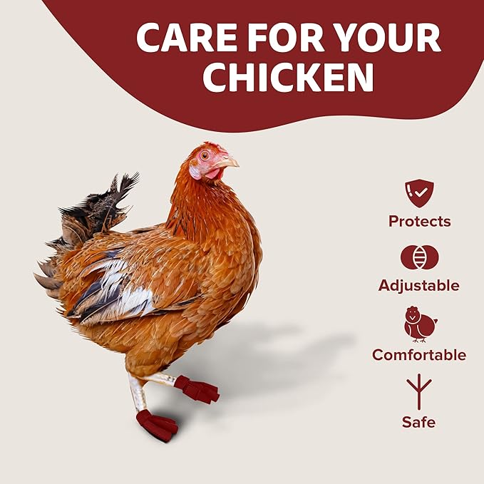 Chicken Shoes for Injured Feet – Protective Neoprene Footwear for Chicken, Open-Toe Design for Bumblefoot Relief, Made in USA - Large, 4" Max. Inside Width, Red