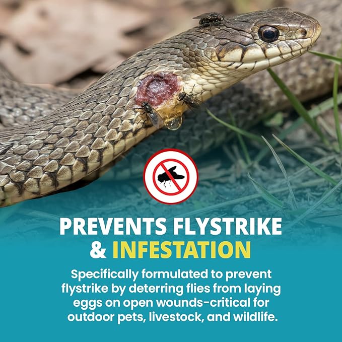 F10 Antiseptic Wound Care Spray for Reptiles, Birds, Small Animals & Exotic Animals. Prevents Infection - 100ml