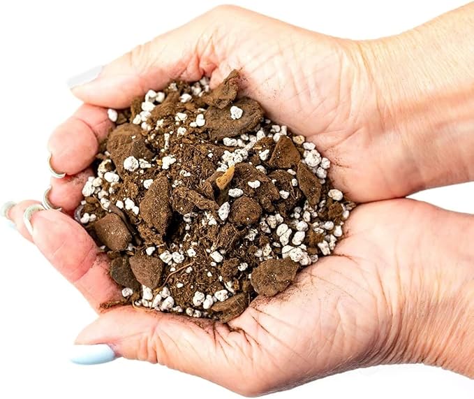 GARDENERA Palm Tree Potting Mix - The Ultimate Soil for Strong and Healthy Palms - Top Choice for Palm Tree Growers [4 Quart Bag]