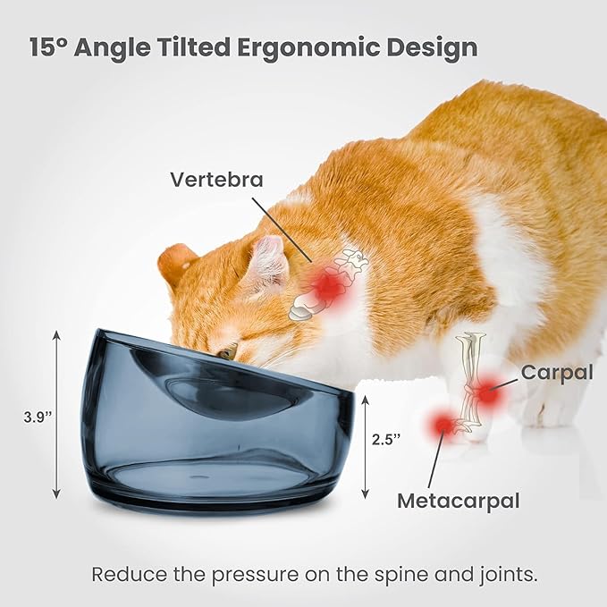 Felli Oblik Elevated Cat Food Bowls 304 Stainless Steel Removable Flat Dish for Whisker Fatigue & Dishwasher Easy Clean, Raised Tilted Stand Non Slip + Wide Metal Plate Anti Vomit (0.5Cup, Shadow)