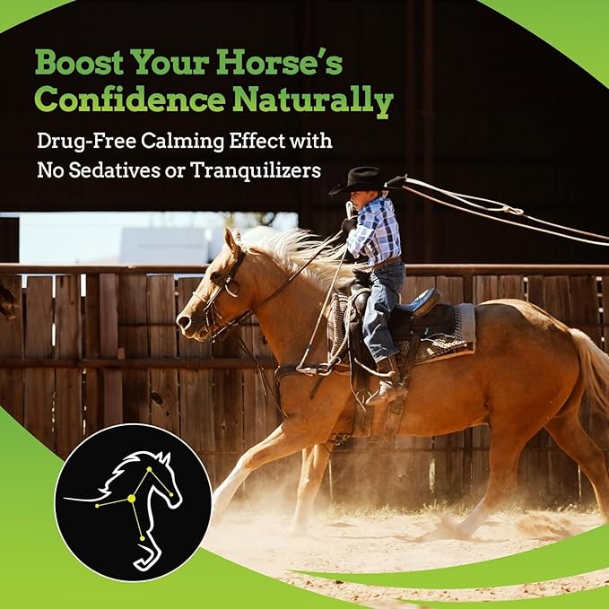 SynChill AF Calming Gel for Nervous Horses - Single Serving - Advanced Formula with L-Theanine, Increased Potency, 100% Natural Supplement, Disposition & Confidence Support for Horses - 3 Pack