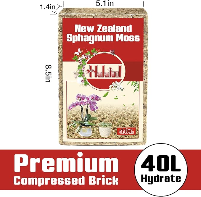 Halatool Premium New Zealand Sphagnum Moss, 500g(40L When Hydrated), for Orchid Repotting Succulent Sarracenia Potted Plants Gardening & Reptiles