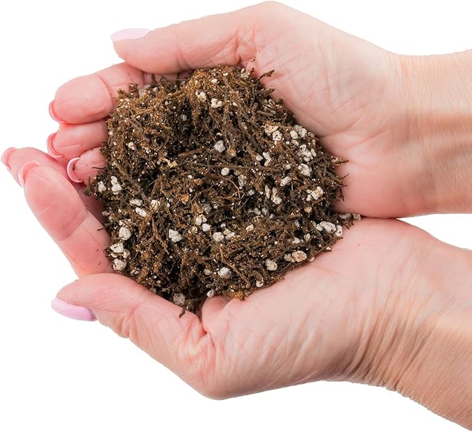Gardenera Fern + Perlite Soil Mix for Repotting and Planting Succulents and Cactuses - 4 Quart Bag