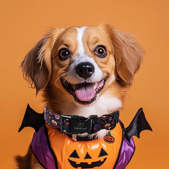 Halloween Dog Collar Spooky Fun Pumpkin Puppy Collar - Light Comfortable Adjustable Pet Collars for Small Medium Large Girl Boy Dogs M