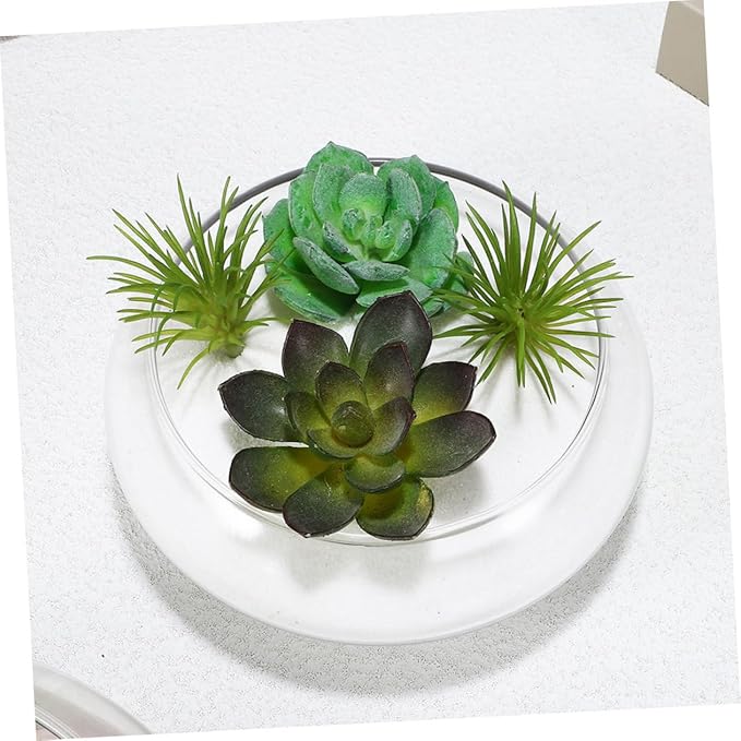 Milisten Flowerpot Micro Landscape Fish Tank Glass Flower Pots Fish Tank for Desk Glass Bowl Hydroponic Plant Pot Keeper Planter Pots Bonsai Planter Succulents Pot Planters