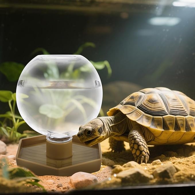 Reptile Water Feeder,Gecko Bearded Dragon Automatic Water Dispenser 12 Oz Amphibians Waterer Dish Terrarium Bowls for Lizards Turtles Snake Frog,Round Shaped