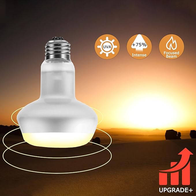 60W Intense Basking Spot Lamp – UVA Daylight Heat Bulb for Reptiles and Amphibians, Simulates Natural Sunrise and Sunset, Ideal for Bearded Dragons, Snakes, Lizards & Chicks | 2 Pack