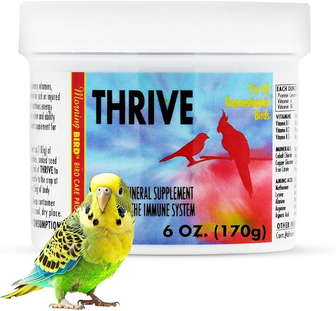 Morning Bird Thrive 6 Oz - Multi-Vitamin Bird Supplement Designed for Immune and Recovery Support - Formulated for Sick or Injured Birds - Protein Supplement and Energy Booster for All Adult Birds