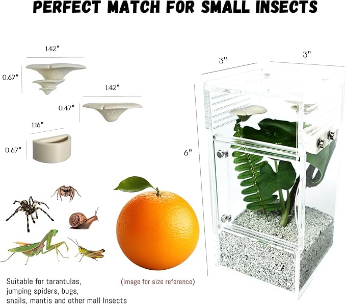 Jumping Spider Enclosure with Mushroom Ledges & Water Bowl Accessories, Acrylic Reptile Terrarium Habitat for Tarantulas, Bugs, Snails, Mantis, Small Insects, Dual Doors, No Assembly Required