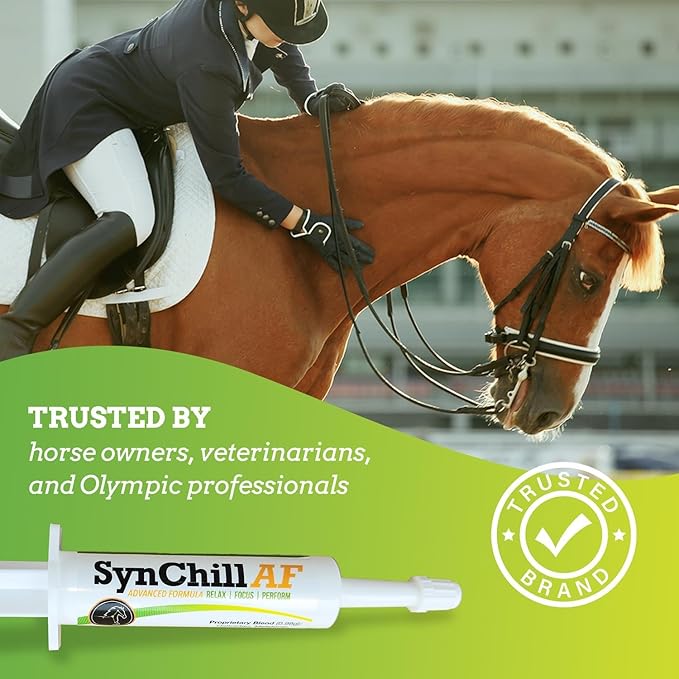 SynChill AF Calming Gel for Nervous Horses - Single Serving - Advanced Formula with L-Theanine, Increased Potency, 100% Natural Supplement, Disposition & Confidence Support for Horses - 3 Pack