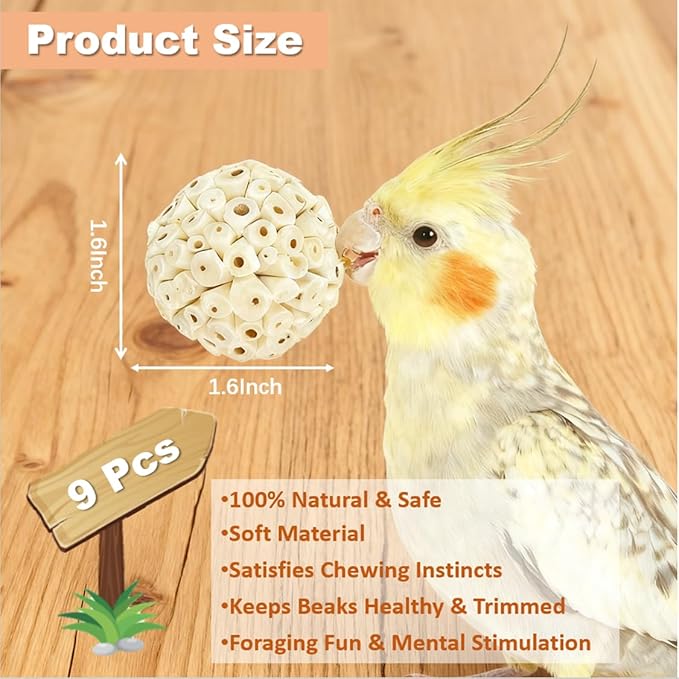 Bird Toys - 9Pcs 1.6" Natural Sola Balls, Cage Enrichment | Chewing and Shredding Parrot Toys | Ideal for Parakeets/Cockatiels/Conures/Lovebirds and Small to Medium Birds