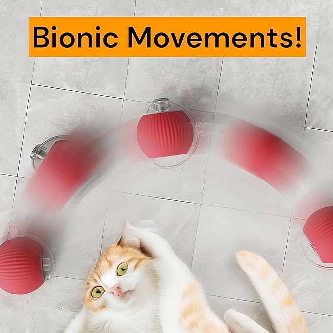 Interactive Electric Automatic Rolling Moving Rechargeable Self Play Stimulation Toy,Smart Pet Chase with Speedy Tail Rope for Bored Indoor Cats (Grey)