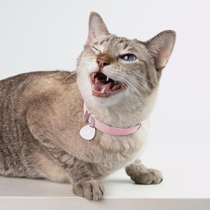 Safety Cat Collar Pro - U.S. IDA Gold Awarding Design, Elastic Quick Release Cat Collar with Buckle Non Breakaway - Lightweight for Kitten All Small Large Cats (Blush Pink, S 5.9-11.8")