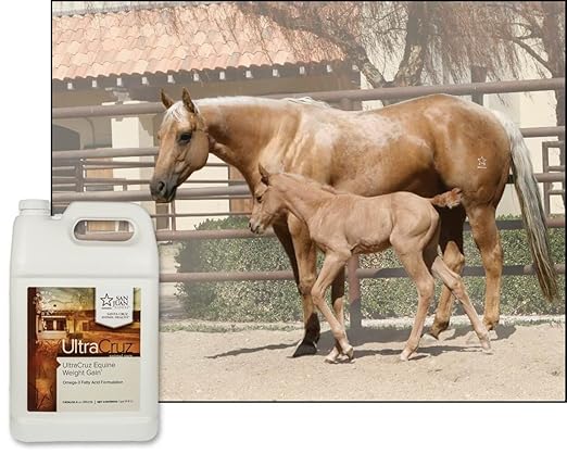 UltraCruz® Equine Weight Gain, 1 Gallon
