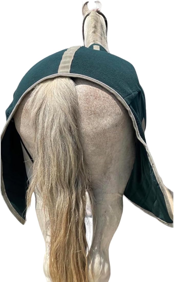 Majestic Ally Anti Pill Fleece Horse Blanket/Sheet with Silver Braided Rope (Hunter Green, 70)