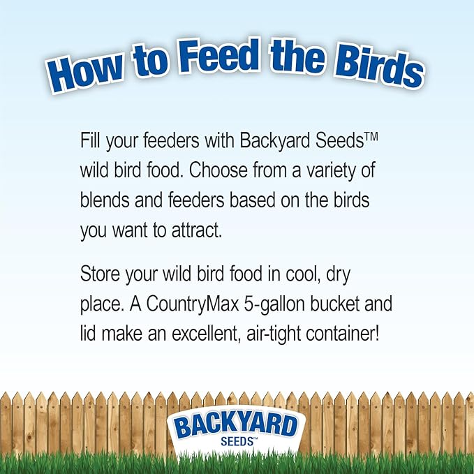 Backyard Seeds Peanut Hearts for Wild Birds – Premium Shelled Peanuts Bird Food – High-Energy Feed for Woodpeckers, Blue Jays, Nuthatches, Chickadees & More (20 Pounds)