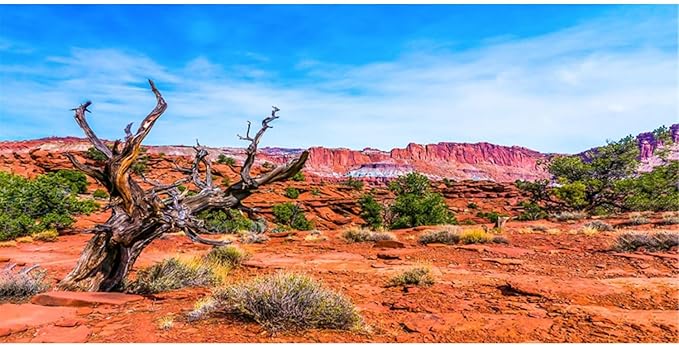 AWERT 24x12 inches Reptile Habitat Background Blue Sky Oasis Orange Desert Terrarium Background