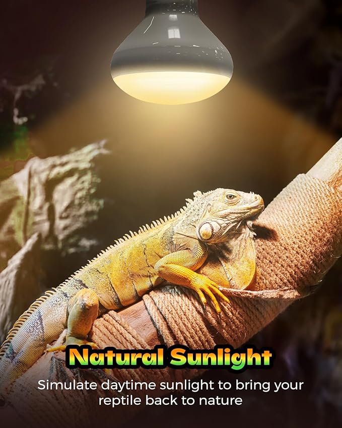 Reptile Heat Lamp, Simulate Natural Sunlight Heat Light Bulbs 2 Pack 100W Amphibians Basking Heat Lamp Bulbs for Reptiles, Bearded Dragon, Lizard, Turtle, Chicken