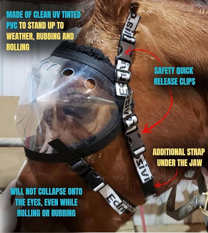 Recovery Vizor (Size Mini/Foal - Clear UV Tint) Medical and Preventative Horse Eye (Goggle) Protection Mask for Uveitis/Injury/Scratch or Corneal Ulcer, Infection, Blindness, Photosensitivity
