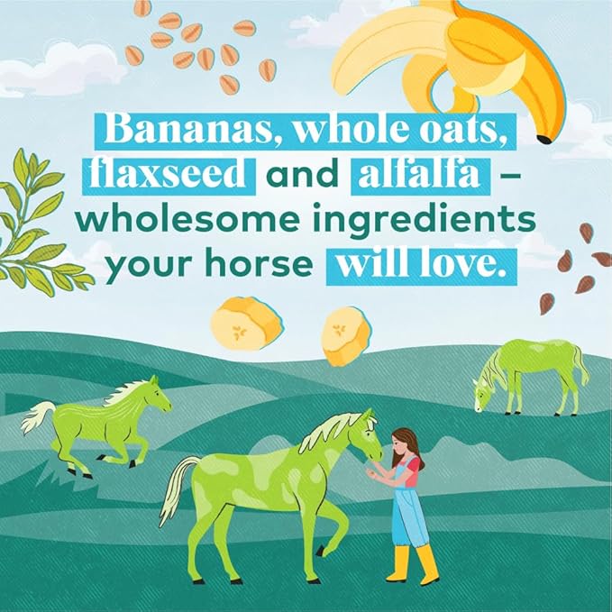 Honest to Goodness Upcycled Horse Treats Combo Pack, Apple and Banana 2 lb Each