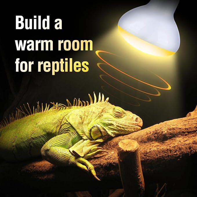 Leoterra 75W Reptile Incandescent Night Black Heat Lamp and 75w UVA Daylight Heat Lamp Combo Pack E26 Base 110v Long Service Life for Lizard Bearded Dragon Chicken Coop,Dog House Use…