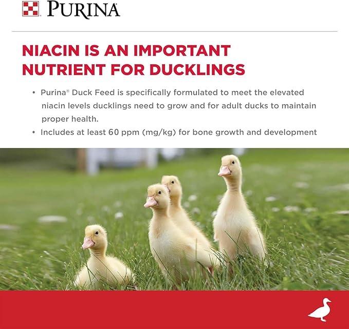 Purina Duck Feed for All Life-Stages, Nutritionally Complete (10 lbs)