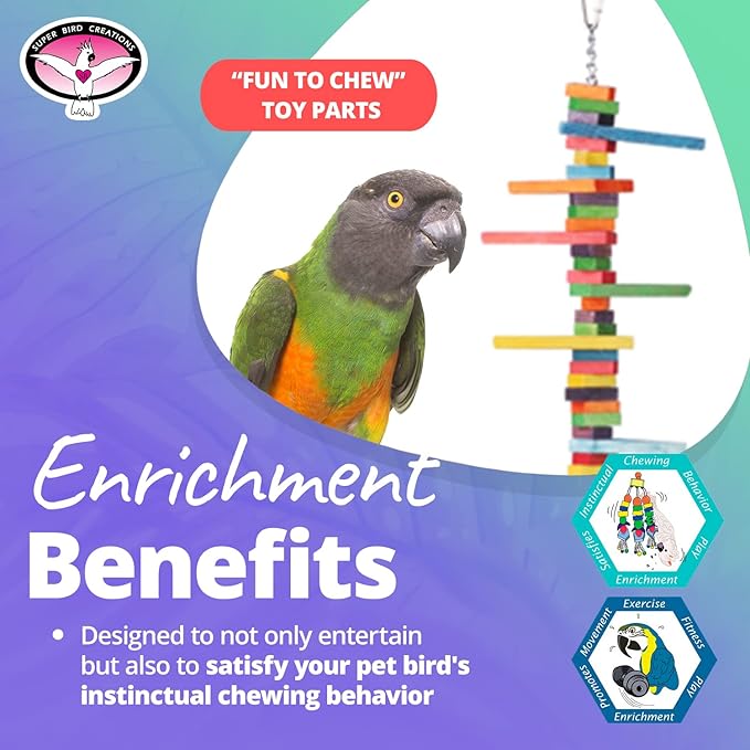 Super Bird Creations SB466 Mini Triangle Teaser Toy for Parrots, Ringnecks, Conures, Quakers, Caiques - Enrichment & Boredom Relief for Parrots - Safe and Durable - Medium Bird Size - 16" x 3" x 2"