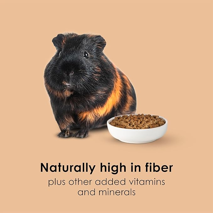 Kaytee Timothy Complete Guinea Pig Food, Made with Timothy Hay, High in Fiber, Supports Dental Health and Digestion, Long-lasting Vitamin C, 5 pounds