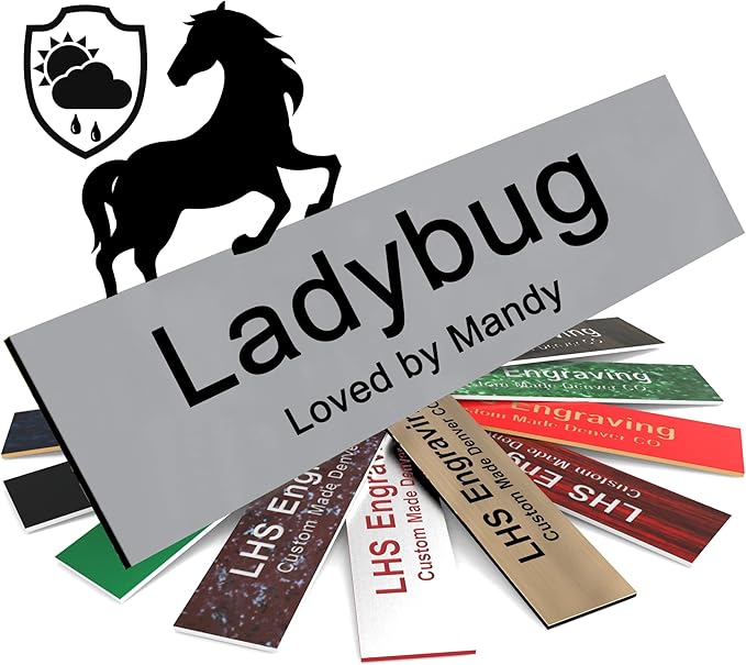 Personalized Horse Stall Name Plates, 2x8 Horse Stall Signs with Adhesive, All Weather UV Protected, Gray Plastic with Black Letters - Made in USA - B8