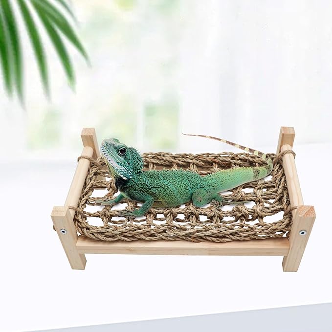 Dnoifne Bearded Dragon Bed - Natural Wood and Seagrass Hammock, Reptile Tank Basking Platform Accessories for Leopard Gecko, Lizard, Frog