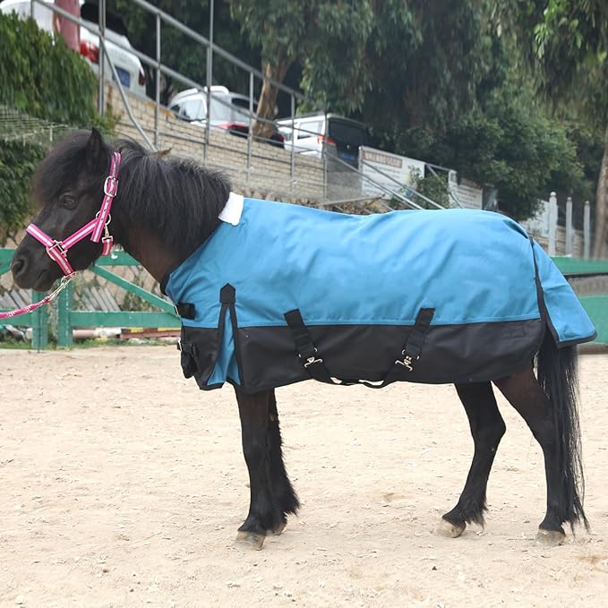 Mini Horse/Pony/Foal/Miniature Size 36"-51" Lightweight Waterproof & Breathable 1200 Denier Turnout Blanket with No Filling Peacockblue 48"