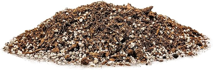 Gardenera Professional Carnivorous Plant Soil - Ready to Use for Venus Flytraps, Sundews, Pitcher Plants, Butterworts | Peat Moss, Coco Coir, Perlite - 3 Quart Bag