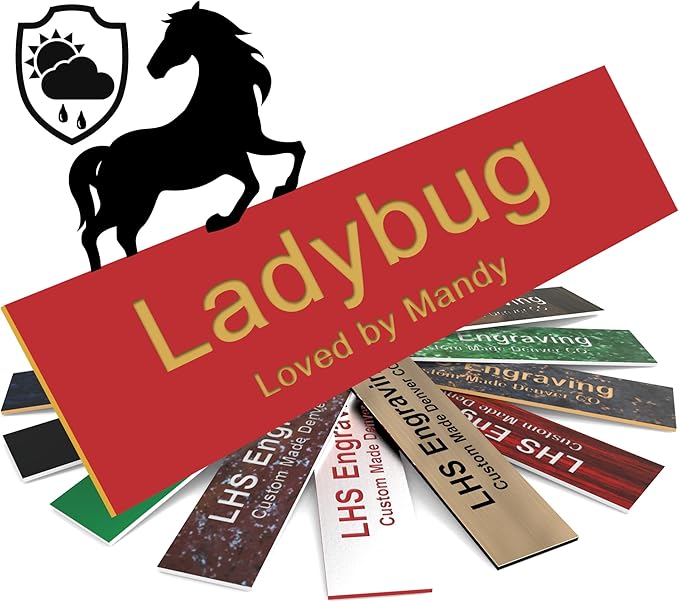 Personalized Horse Stall Name Plates, 2x12 Horse Stall Signs with Adhesive, All Weather UV Protected, Red Plastic Gold Letters - Made in USA - B17