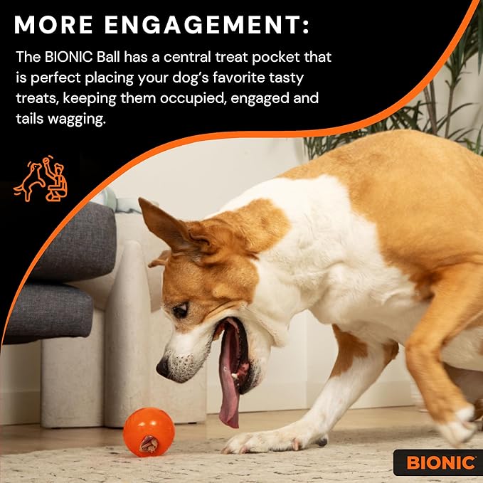BIONIC Ball Dog Toy, Medium - Interactive Dog Chew Toy That Stands Up to The Toughest Chewers, for Dogs Between 15-35 lbs. (7-15 kg.)