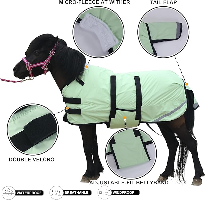 Foal/Mini Horse Size 30"-48" Waterproof & Breathable 300 Denier Winter Turnout Blanket with 150g Polyfill Grassgreen Large