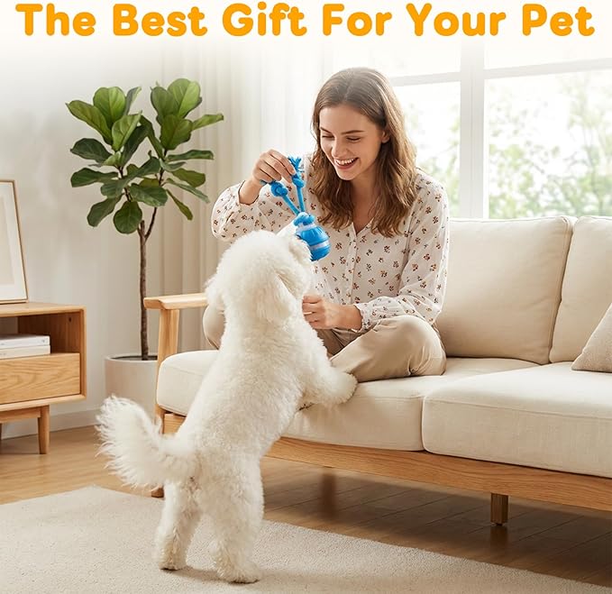 2PCS Zealburst Dog Toy, Interactive Dog Toys, 2026 Upgraded Motion Activated Squeaky Cat Balls, 360° Smart Automatic Rolling Moving for Bored Pet Cats Dogs (Orange+Blue)