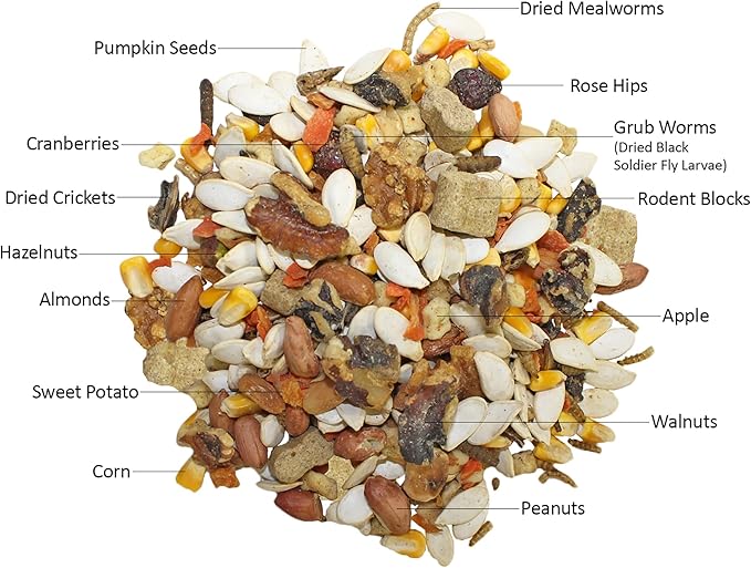 Squirrel Food Starter Package - Includes Nutritionally Complete Diet, Natural Treats & Healthy Vitamin Supplements - for Grey Squirrels, Ground Squirrel, Chipmunks, Flying Squirrels