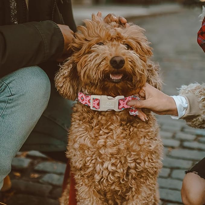 Valentines Dog Collar for Small Dogs - Design Cute Rose Red Valentine Dog Collars Boy Girl Puppy Adjustable Quick Release Buckle Collar with Little Heart Charm XS
