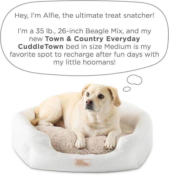 TOWN & COUNTRY EVERYDAY CuddleTown Faux Linen Comfy Cozy Cuddler Pet Bed, Supportive & Calming Egg Crate Foam, Non-Slip Bottom, Machine Washable Cover, Beige, Medium 28"x26"x8"
