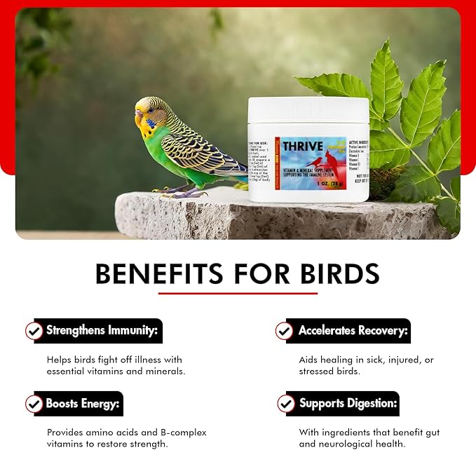 Morning Bird Thrive 1 Oz - Multi-Vitamin Bird Supplement Designed for Immune and Recovery Support - Formulated for Sick or Injured Birds - Protein Supplement and Energy Booster for All Adult Birds